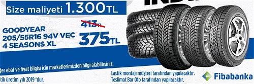 Goodyear 205/55R16 94V Vec 4 Seasons Xl image