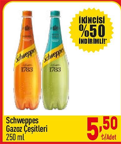 Schweppes Gazoz Çeşitleri 250 ml image