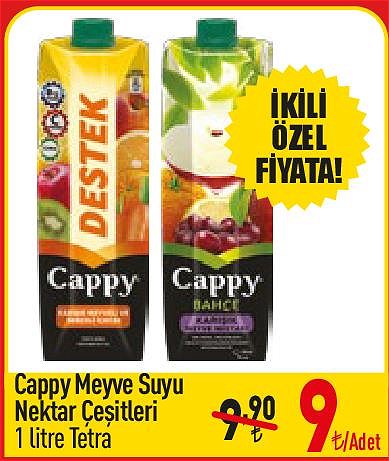 Cappy Meyve Suyu Nektar Çeşitleri 1 l Tetra image