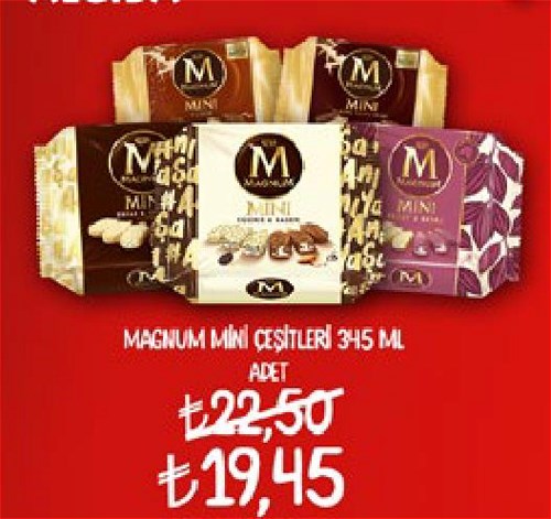 Magnum Mini Çeşitleri 345 ml image