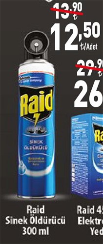 Raid Sinek Öldürücü 300 ml image