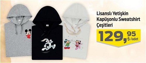 Lisanslı Yetişkin Kapüşonlu Sweatshirt Çeşitleri/Adet image