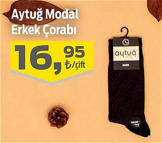 Aytuğ Modal Erkek Çorabı image