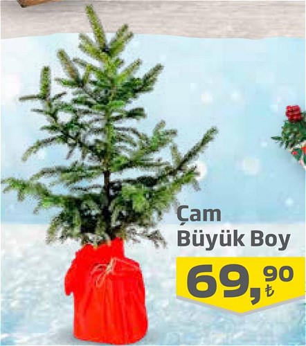 Çam Büyük Boy image