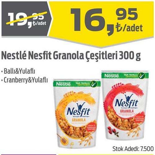 Nestle Nesfit Granola Çeşitleri 300 g image