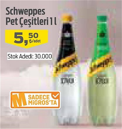 Schweppes Pet Çeşitleri 1 l image