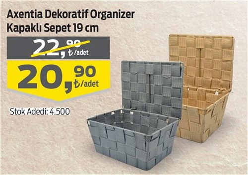 Axentia Dekoratif Organizer Kapaklı Sepet 19 cm image