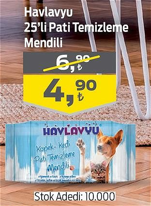 Havlavyu 25'li Pati Temizleme Mendil image