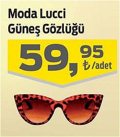 Moda Lucci Güneş Gözlüğü image