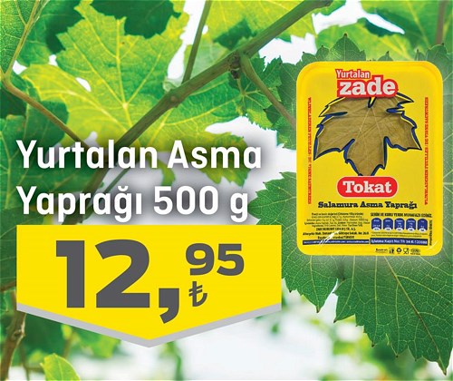 Yurtalan Asma Yaprağı 500 g image