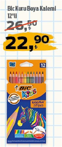 Bic Kuru Boya Kalemi 12'li image