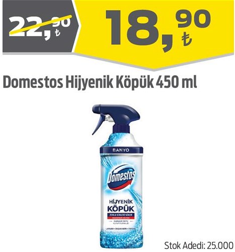 Domestos Hijyenik Köpük 450 ml image