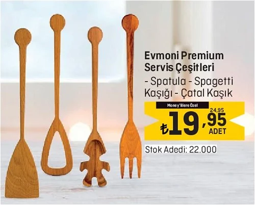 Evmoni Premium Servis Çeşitleri image