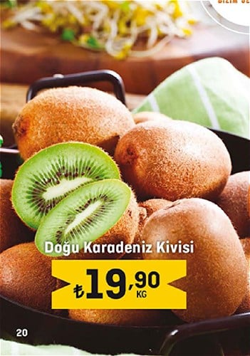 Doğu Karadeniz Kivisi Kg image