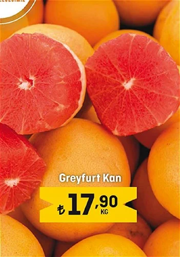 Greyfurt Kan Kg image