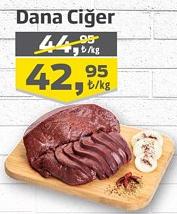 Dana Ciğer Kg image