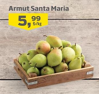 Armut Santa Maria Kg image