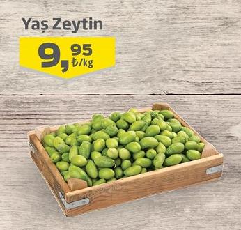 Yaş Zeytin Kg image