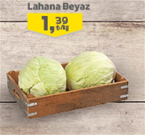 Lahana Beyaz kg image