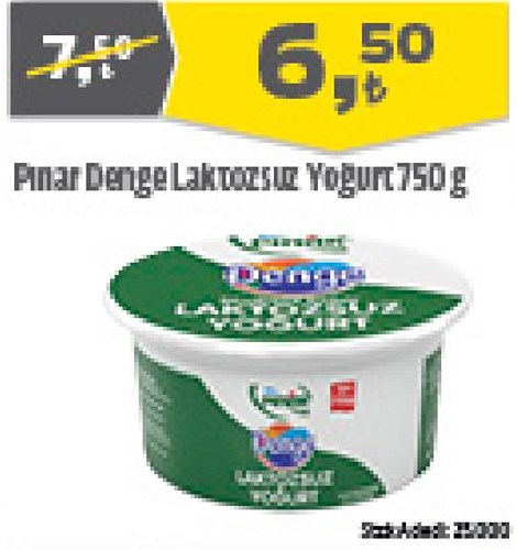 Pınar Denge Laktozsuz Yoğurt 750 g image