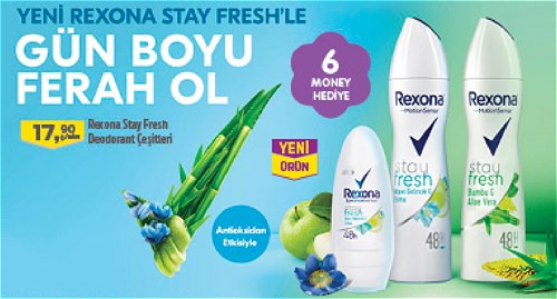 Rexona Stay Fresh Deodorant Çeşitleri image