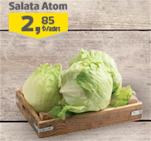 Salata Atom image