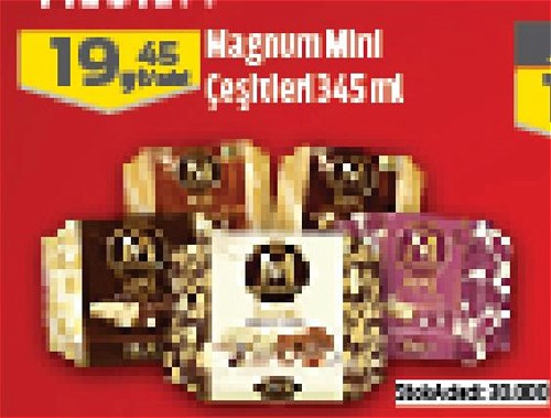 Magnum Mini Çeşitleri 345 ml image