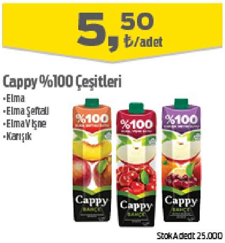 Cappy %100 Çeşitleri/Adet image