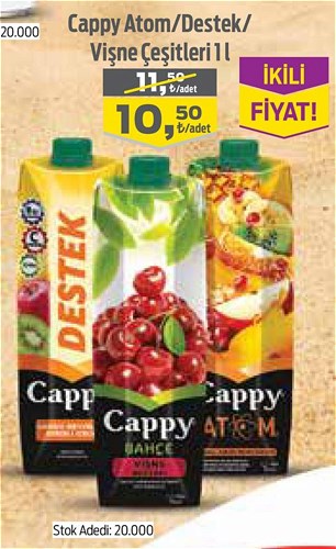 Cappy Atom/Destek/Vişne Çeşitleri 1 l image