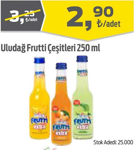 Uludağ Frutti Çeşitleri 250 ml image