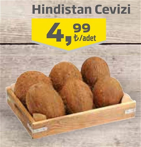 Hindistan Cevizi  image