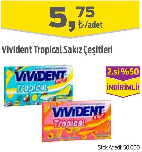 Vivident tropical Sakız Çeşitleri/Adet image