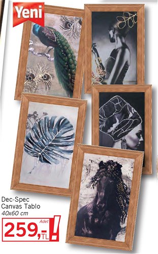 Dec-Spec Canvas Tablo 40x60 cm image