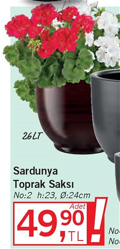 Sardunya Toprak Saksı No:2 24 cm image