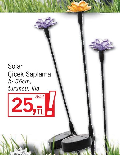 Eglo Solar Çiçek Saplama h: 55cm image
