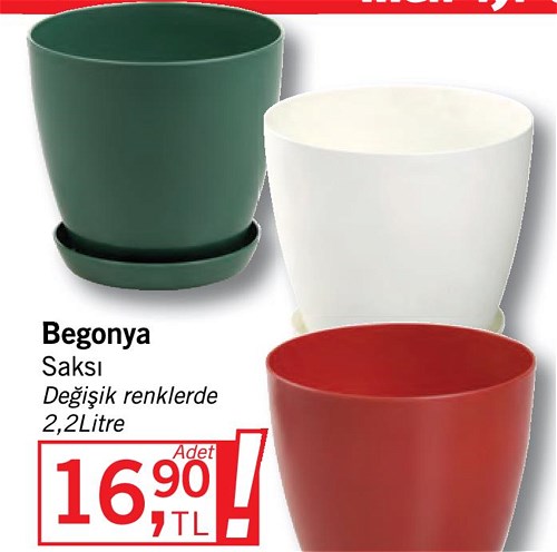 Begonya Saksı 2.2 Litre image