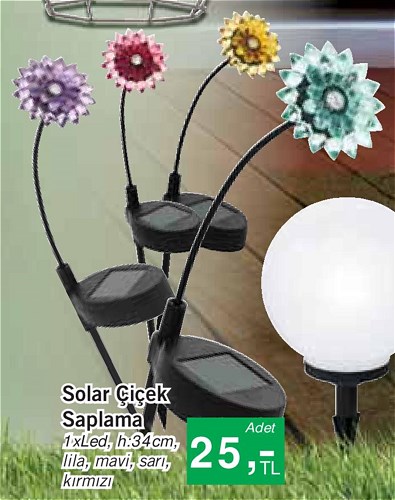 Solar Çiçek Saplama 34 cm image