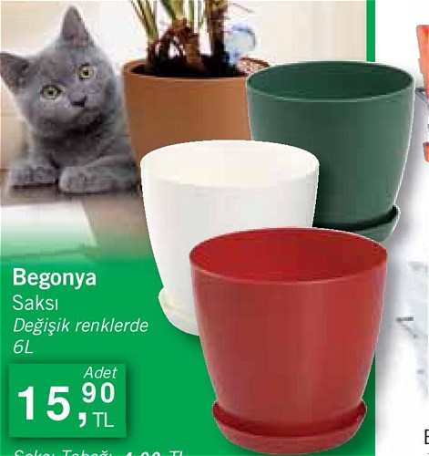 Begonya Saksı 5 l image