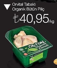 Orvital Tabaklı Organik Bütün Piliç image