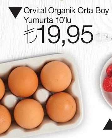 Orvital Organik Orta Boy Yumurta 10'lu image