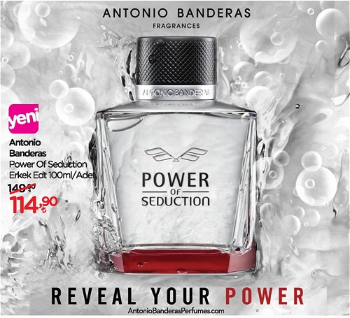 Antonio Banderas Power Of Seduction Erkek Edt 100 ml image