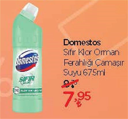 Domestos Sıfır Klor Orman Ferahlığı Çamaşır Suyu 675 ml image