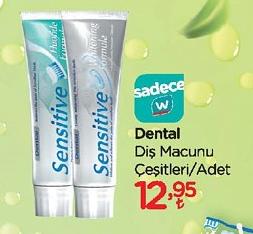 Dental Diş Macunu Çeşitleri/Adet image