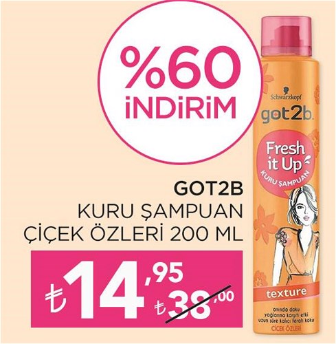 Got2b Kuru Şampuan Çiçek Özleri 200 ml image