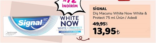 Signal Diş Macunu White Now White&Protect 75 ml image