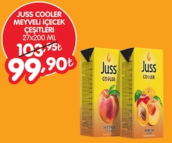 Juss Cooler Meyveli İçeçek Çeşitleri 27x200 ml image