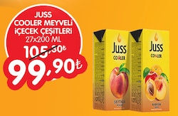 Juss Cooler Meyveli İçecek Çeşitleri 27x200 ml image