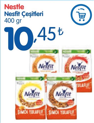 Nestle Nesfit Çeşitleri 400 gr image