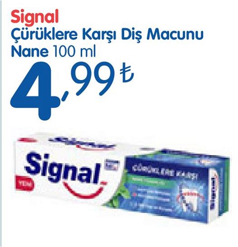 Signal Çürüklere Karşı Diş Macunu Nane 100 ml image