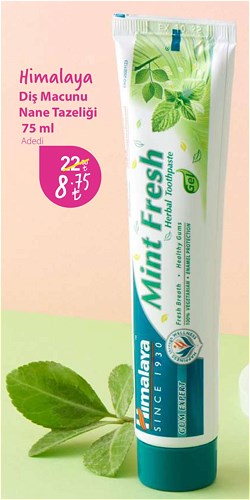 Himalaya Diş Macunu Nane Tazeliği 75 ml image